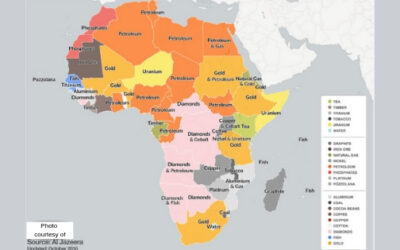 Is the AMV and SWFs what Kenya needs to help stabilize her economy in the mining sector?