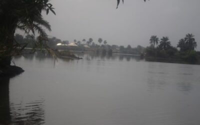 Villages of Pollution, Goi- Niger Delta